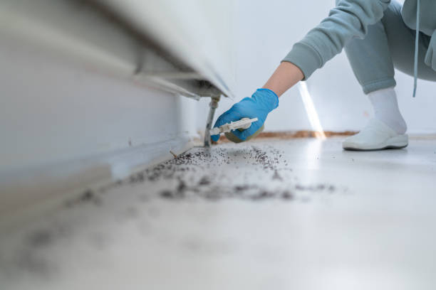 Best Affordable Pest Control Services  in Woodville, OH