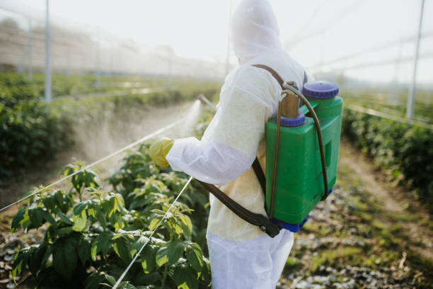Best Cockroach Control Services  in Woodville, OH